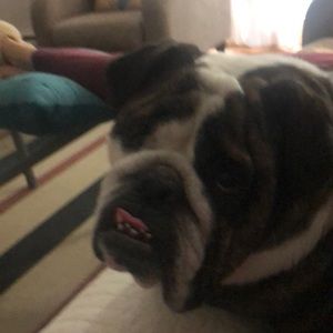 Meet your Posher, Tim